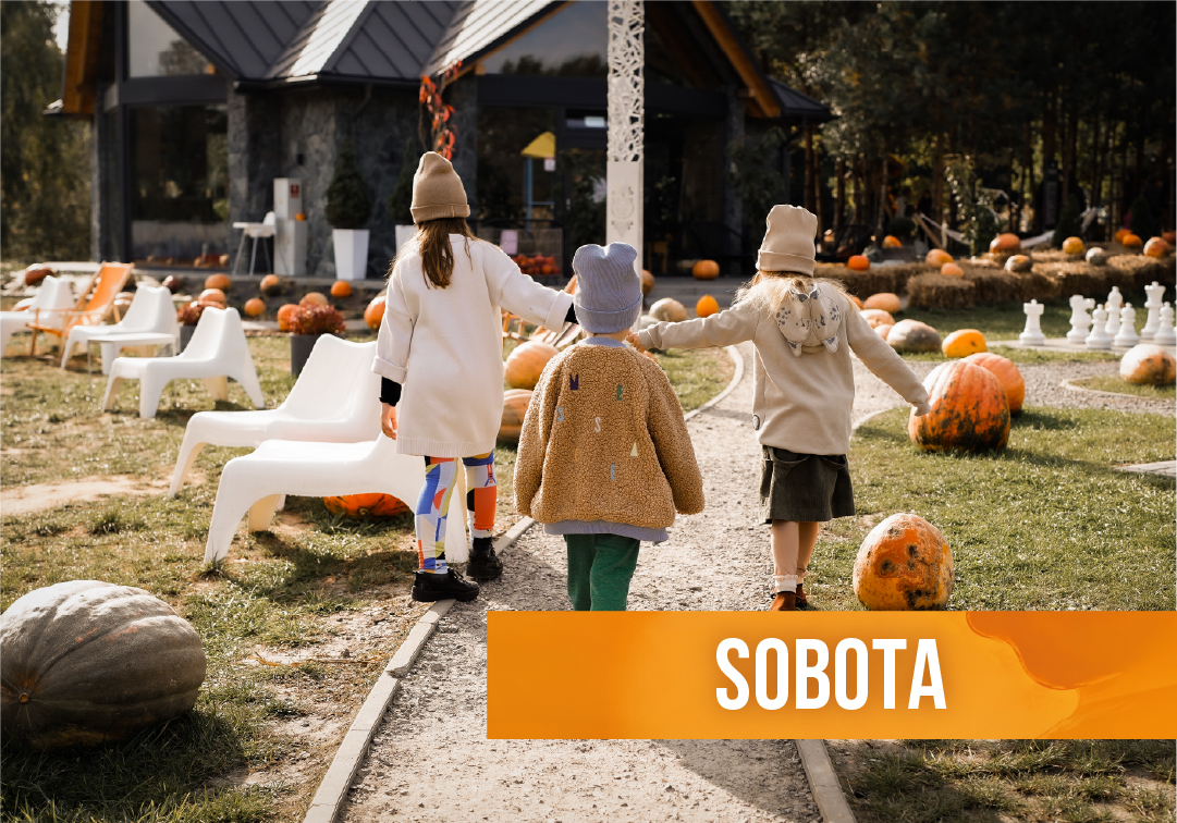 Farma Dyniowa - 19.09.2026- bilet wstępu - SOBOTA